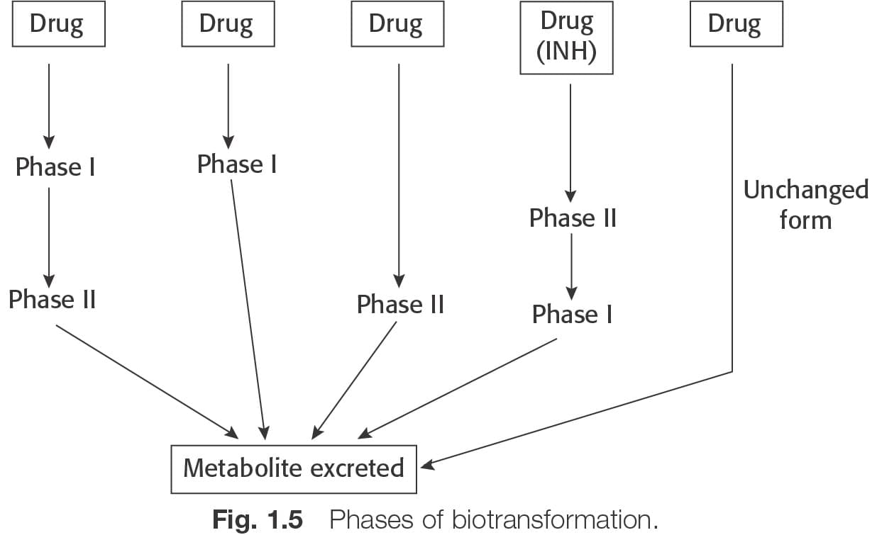 General Pharmacology - 1 Chapter Notes - Pharmaceutical for Nursing Exams