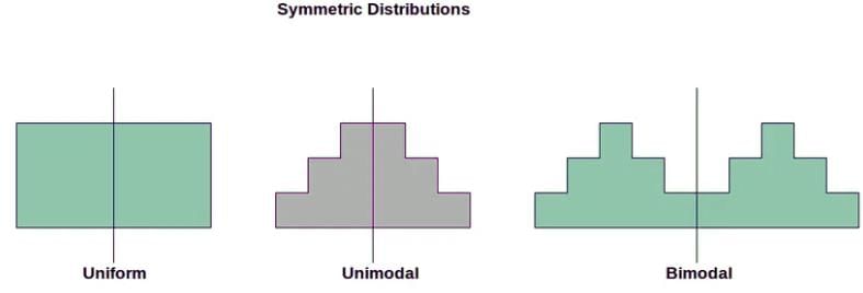 Describing the Distribution of a Quantitative Variable Chapter Notes | AP Statistics - Grade 9
