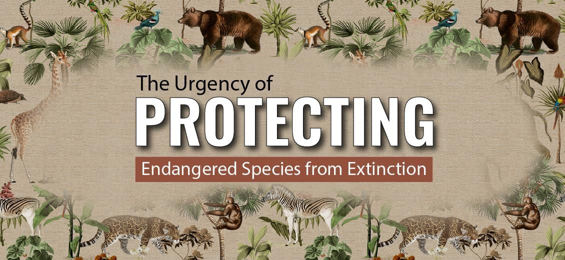 Shankar IAS Summary: Conservation Efforts | Famous Books for UPSC Exam (Summary & Tests)