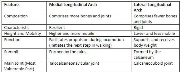 Lower Limb - 2 Chapter Notes | Anatomy - NEET PG