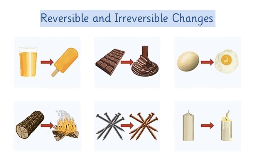 The Ever-Evolving World of Science Class 7 Notes Science Chapter 1 Free PDF