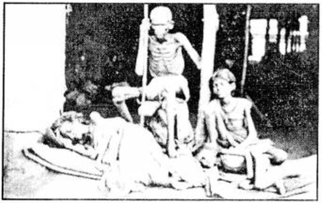 From the Diary of Anne Frank NCERT Solutions | English Class 10