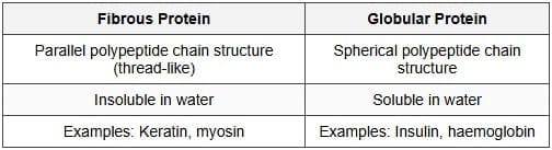 Case-Based Questions
