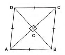 Rectilinear Figures Chapter Notes | Mathematics Class 9 ICSE