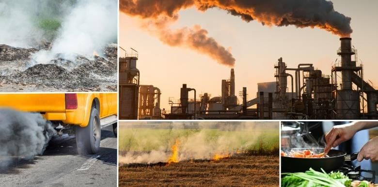 Pollution Chapter Notes | Geography Class 9 ICSE