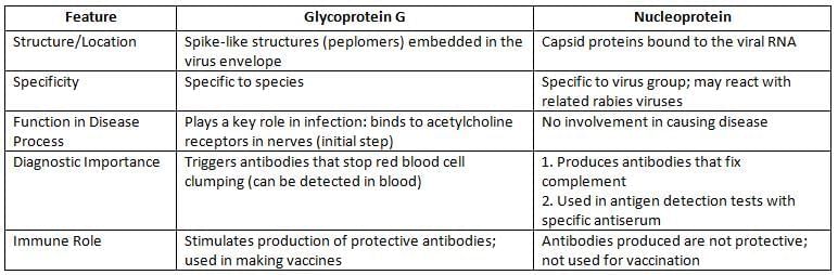 Arboviruses, Picornaviruses and Rabies Virus Chapter Notes | Microbiology - NEET PG