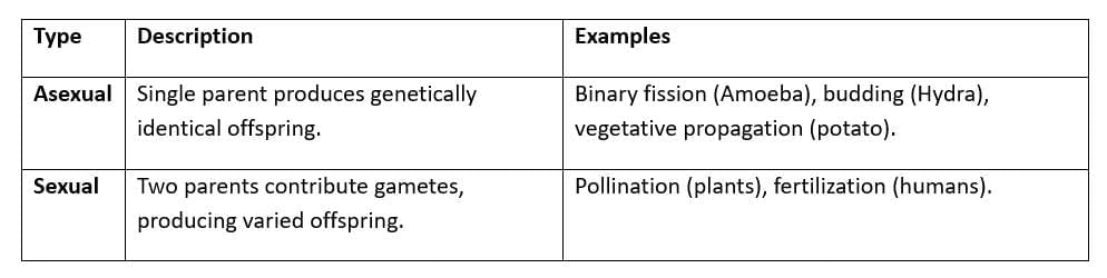 Cheat Sheet: Life Processes | Science Class 10