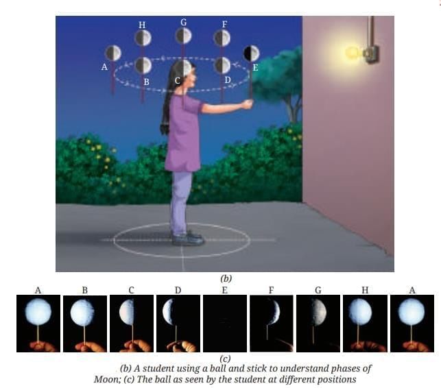 Keeping Time with the Skies Chapter Notes | Chapter Notes For Class 8