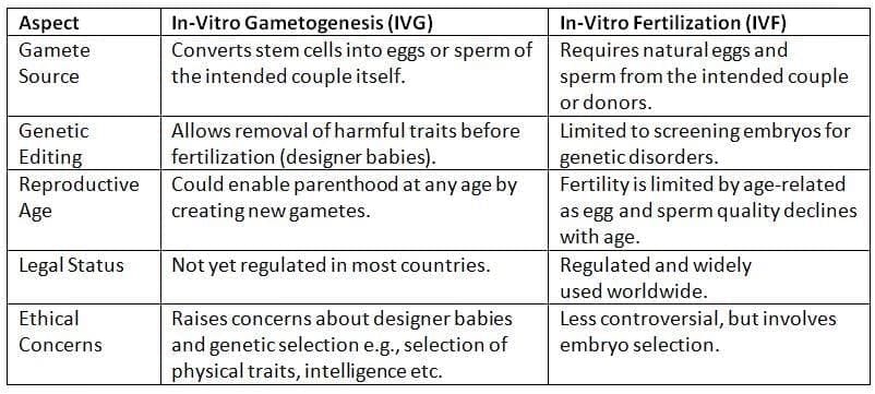 What is In-Vitro Gametogenesis (IVG)?&nbsp;