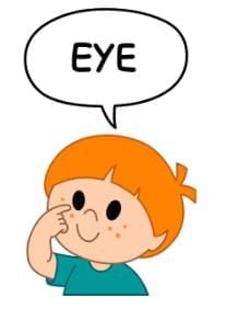 Sense Organs Class 1 Notes EVS