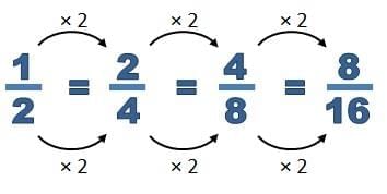 Fractions Chapter Notes | Mathematics (Maths Mela) Class 5 - New NCERT