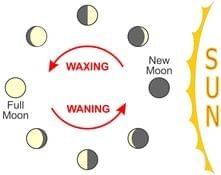 Unit Test (Solutions): Keeping Time with the Skies | Science Curiosity Class 8 -  New NCERT