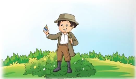 The Crystal Ball Chapter Notes | English Class 2 ICSE
