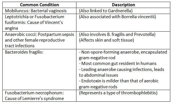 Anaerobes: Clostridium and Non-Sporing Anaerobes Chapter Notes | Microbiology - NEET PG