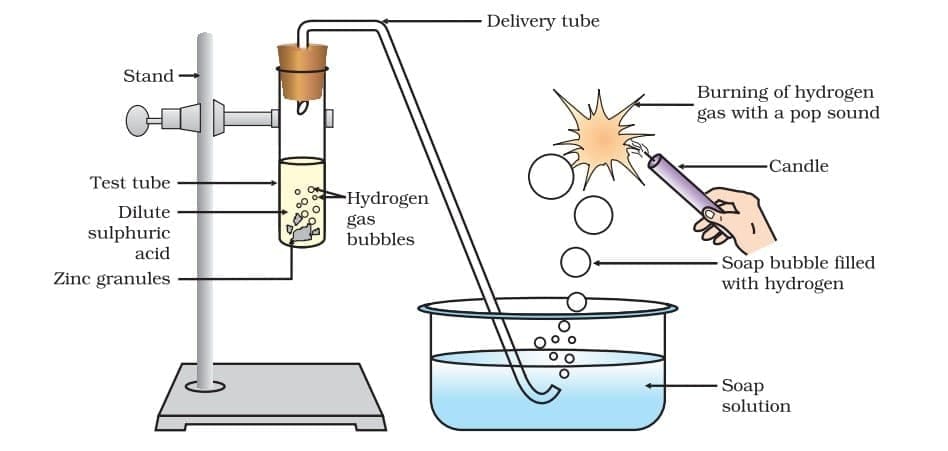 Reaction of zinc granules with dilute sulphuric acid and testing hydrogen gas by burning