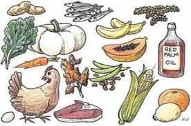 Worksheet Solutions: The Story of Food | EVS for Class 3