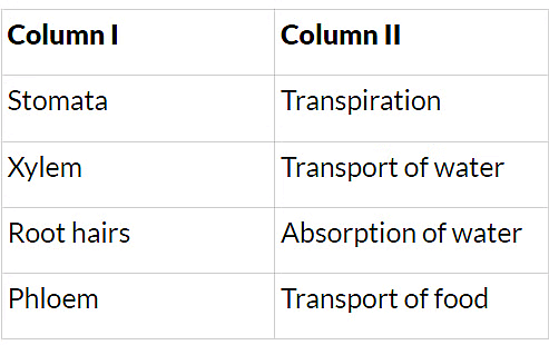 NCERT Solutions for Class 7 Science - Transportation in Animals and Plants