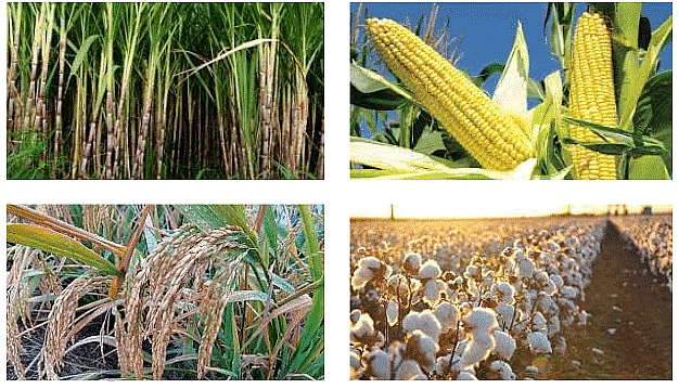 The Northern Plains Class 4 Notes SST