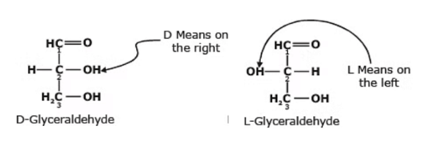 Carbohydrates: Monosaccharides, Disaccharides & Polysaccharides | Chemistry Class 12 - NEET