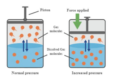Henry`s Law: Effect of Pressure on Solubility of Gases in Liquids | Physical Chemistry for NEET
