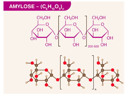 Carbohydrates: Monosaccharides, Disaccharides & Polysaccharides | Chemistry Class 12 - NEET