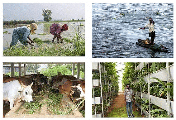 Other agricultural activities apart from farming