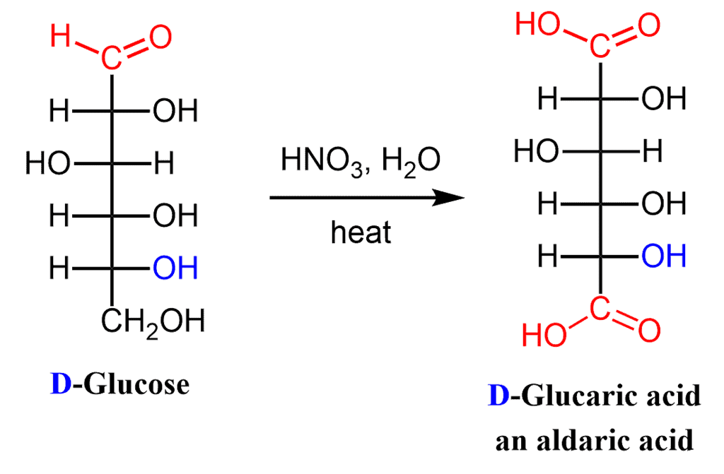 Carbohydrates: Monosaccharides, Disaccharides & Polysaccharides | Chemistry Class 12 - NEET