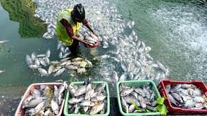 Fishing