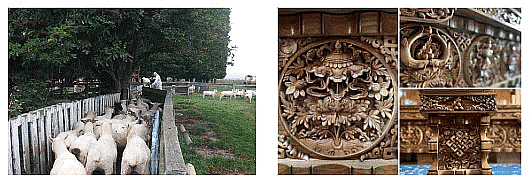 Sheep Rearing(left) & Wood Carving(right)