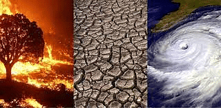Ramesh Singh Summary: Sustainability and Climate Change: India and The World- 1 | Indian Economy for UPSC CSE