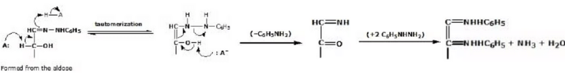 Carbohydrates: Monosaccharides, Disaccharides & Polysaccharides | Chemistry Class 12 - NEET