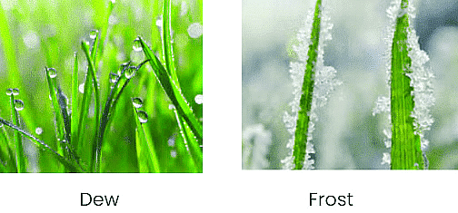 Weather, Water and Air Class 4 Notes Science