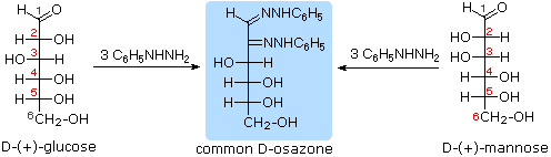 Carbohydrates: Monosaccharides, Disaccharides & Polysaccharides | Chemistry Class 12 - NEET