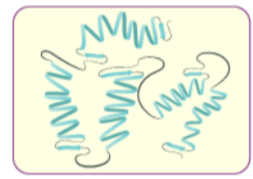 Proteins & Amino Acids | General Awareness - Bank Exams