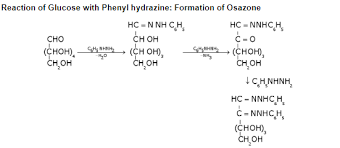 Carbohydrates: Monosaccharides, Disaccharides & Polysaccharides | Chemistry Class 12 - NEET