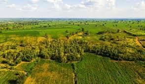 Farming