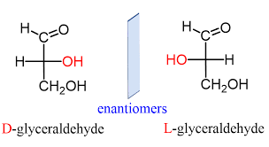 Carbohydrates: Monosaccharides, Disaccharides & Polysaccharides | Chemistry Class 12 - NEET