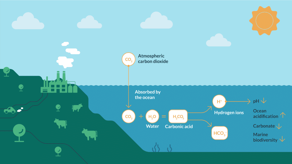 Ocean Acidification