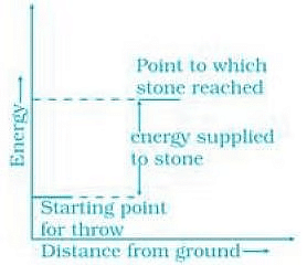 NCERT Exemplar: Thermodynamics | Chemistry Class 11 - NEET