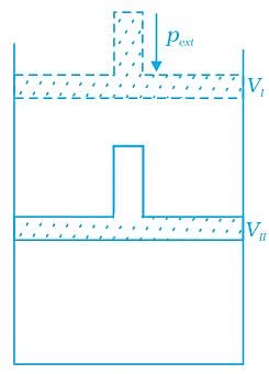 NCERT Exemplar: Thermodynamics | Chemistry Class 11 - NEET