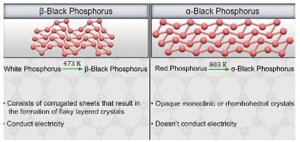 Types of Black Phosphorous