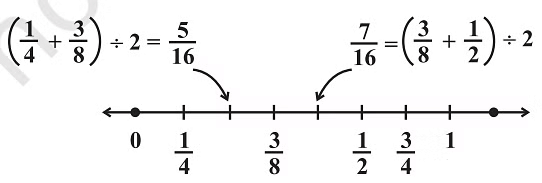 Rational Numbers Class 7 Notes Maths Chapter 1