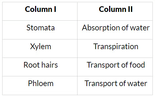 NCERT Solutions for Class 7 Science - Transportation in Animals and Plants