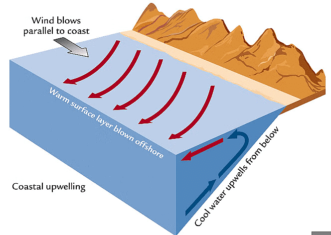 Coastal Upwelling