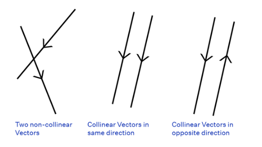 Types of Vectors | Mathematics (Maths) for JEE Main & Advanced
