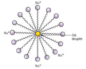 Associated Colloids(Micelle Formation)