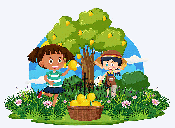 Essay on Mango | Essays for Class 4