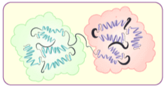 Proteins & Amino Acids | General Awareness - Bank Exams