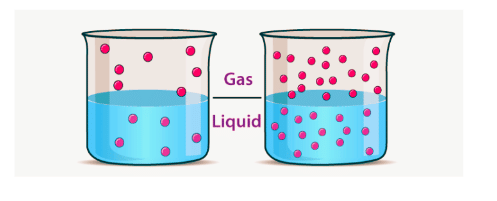 Solubility: Solid, Gas & Liquid in a Liquid and Henry`s Law | Chemistry Class 12 - NEET