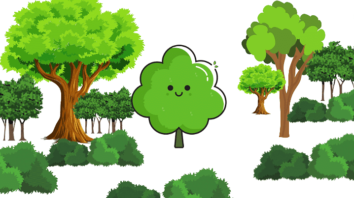 Essay on Trees | Essays for Class 4
